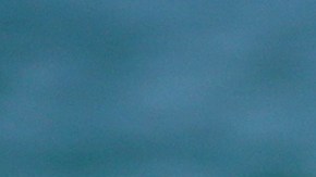 Maluma y Prince Royce pasan tiempo juntos en Miami, Florida.