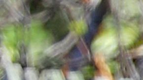 Nick Jonas auxilió a una joven con la que después disfrutó de un romántico día...