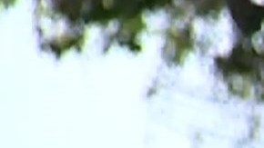 El antiguo sistema de transporte le costaba $1 millón a la ciudad, y casi nadie lo usaba.