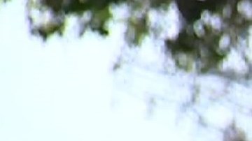 El antiguo sistema de transporte le costaba $1 millón a la ciudad, y casi nadie lo usaba.