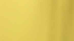 La Unión Americana de Libertades Civiles (ACLU) presentó una demanda a raíz de la detención de Parada.