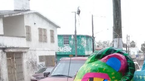 Piñata en forma de la bella alebrije Pepita.