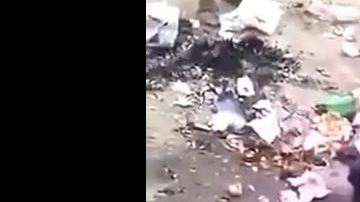 Descuartiza al perro para poder comer