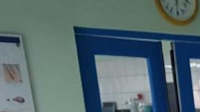 Este pobre perrito tenía una enfermedad en la piel y, además, un gusano en el corazón.