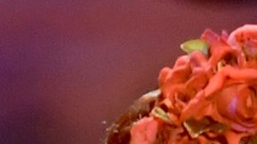 Natalia Lafourcade, Eugenio Derbez y Gael García Bernal.