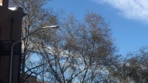 Los activistas condenan el incidente como otro caso más de oficiales que disparan contra personas negras desarmadas.