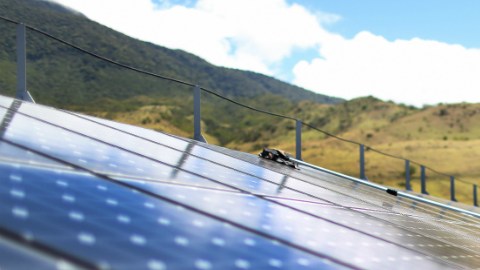 Un trabajador limpia los paneles en un parque de energía solar.