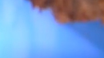 Los concursantes de "Reto 4 Elementos" tuvieron que pasarse cucarachas con la boca