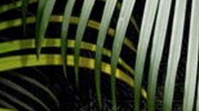 La competencia extrema se transmitirá simultaneamente en México y Estados Unidos