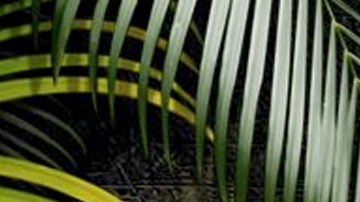 La competencia extrema se transmitirá simultaneamente en México y Estados Unidos