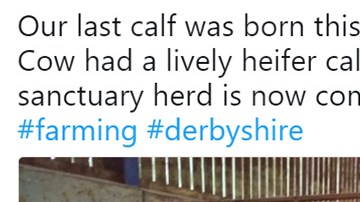 Un granjero decide que no matará más animales.