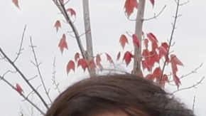 Un amigo lo deja todo para acompañar a su mejor amigo en los últimmentos de vida