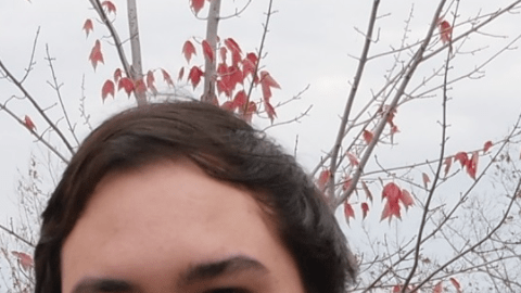 Un amigo lo deja todo para acompañar a su mejor amigo en los últimmentos de vida