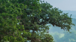 El poder y la economía no están peleados.