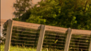 De todos tamaños, tal como las familias.