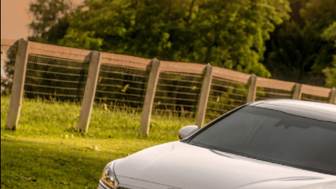 De todos tamaños, tal como las familias.