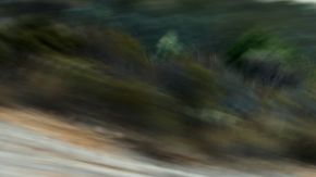 Audi llega a toda velocidad.