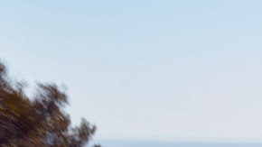 Potencia y durabilidad en NY.