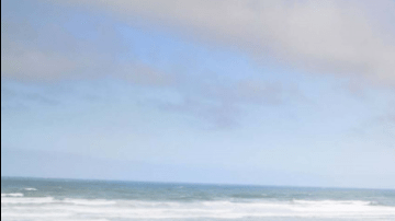 Diversión a bajo costo de gasolina.