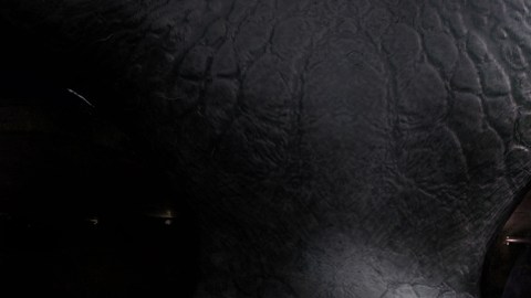 Ataque informático extraterrestre
