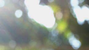 shutterstock_796917730