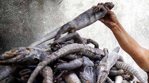 El polémico platillo es blanco de opiniones a su favor y en contra.