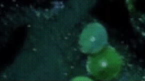 Taylor Mac es actor (o actriz), escritor(a), director(a), productor(a), compositor(a)... y drag queen.