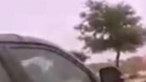 Las imágenes son impactantes.