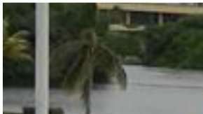 Al parecer el combate no contaba con permisos.