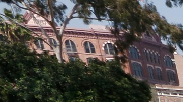 Miles piden que no se cancele el TPS.