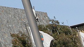 Un campamento de indigentes en Santa Ana. (Aurelia Ventura/La Opinion)