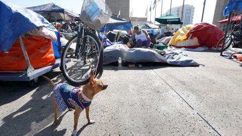 En el 2018, más de 150 personas, incluidas varios niños, vivían en el campamento del Centro Cívico y la Plaza de las Banderas de la ciudad de Santa Ana.