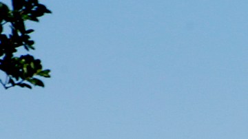 La comunidades cercanas a los puestos de Los Ángeles están muy expuestas a la contaminación. (Photo by Aurelia Ventura/La Opinion)