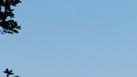 La comunidades cercanas a los puestos de Los Ángeles están muy expuestas a la contaminación. (Photo by Aurelia Ventura/La Opinion)