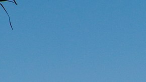 Los Ángeles obtuvo un resultado peor que en el reporte de 2017. / fotos: Aurelia Ventura.