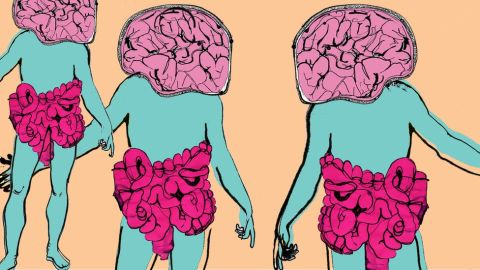 Cómo los microbios que viven en nosotros afectan también a nuestra salud mental.