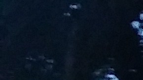 El evento es una buena oportunidad de rodearse de arte en todas sus formas en el centro de Los Ángeles.