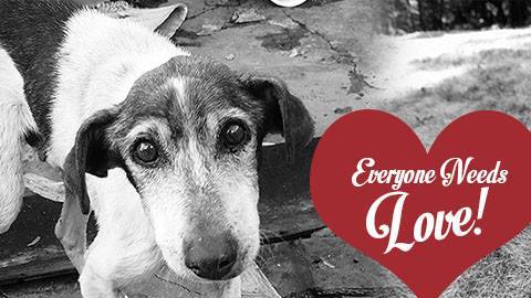 El evento tendrá lugar en el centro de Los Ángeles, a tres puertas al sur de la 9th y Olive St en la nueva ubicación de Recliners.LA.