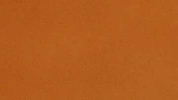 Miguel Díaz-Canel en la sesión constitutiva de Asamblea Nacional del Poder Popular.