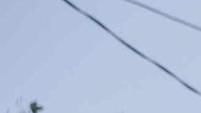 Un hombre protesta encima de un vehículo quemado.