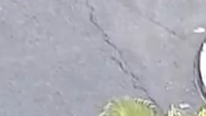 El impacto fue tan fuerte que lanzó piezas de automóviles a unos 100 pies de distancia.