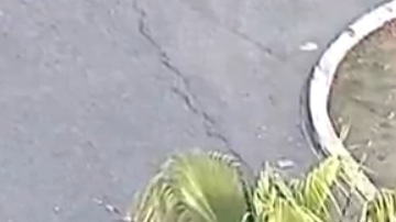 El impacto fue tan fuerte que lanzó piezas de automóviles a unos 100 pies de distancia.