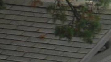 Los accidentes en Baxter Street son frecuencias a causa de la desmesurada inclinación.