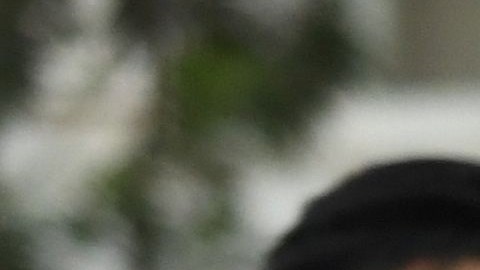 De Nueva York a Los Ángeles, más de 300 ciudades se han declarado santuarios desde que Trump tomó protesta, con el fin de prevenir la separación de familias con parientes indocumentados.