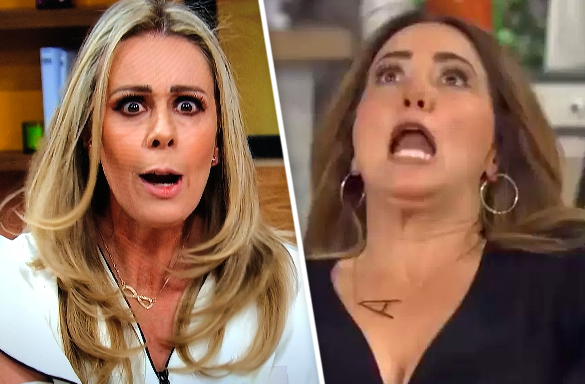 Andrea Legarreta Fakes