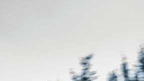 Bugatti Chiron Noire