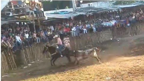caballo