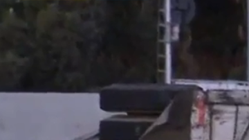 El accidente tuvo lugar en el lado sur de la autopista en Burbank Boulevard alrededor de las 3:30 am.