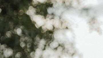 México vuelve al blanco y olvida el negro.