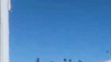 La Patrulla Fronteriza dice que es un caso aislado